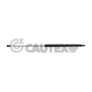 773166 CAUTEX