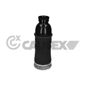 753499 CAUTEX