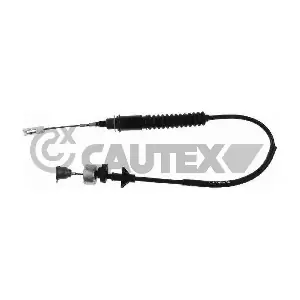038455 CAUTEX