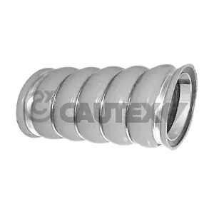 767090 CAUTEX