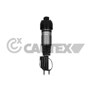 769188 CAUTEX