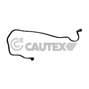 771317 CAUTEX