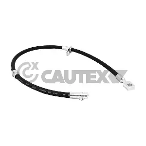 756020 CAUTEX