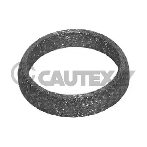 954202 CAUTEX