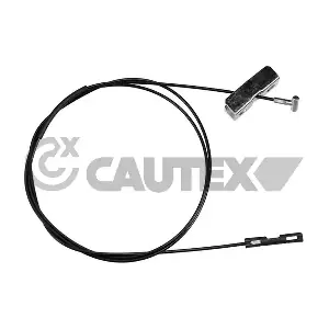 762026 CAUTEX