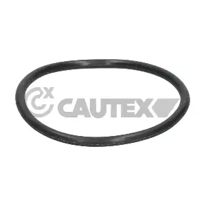 952036 CAUTEX