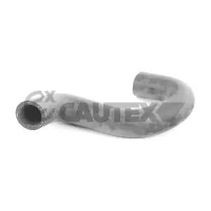 466060 CAUTEX