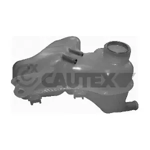481074 CAUTEX