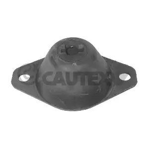 020884 CAUTEX