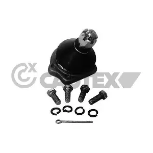755019 CAUTEX