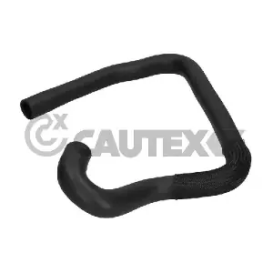 036214 CAUTEX