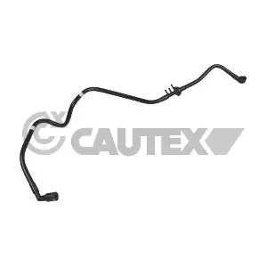 776395 CAUTEX