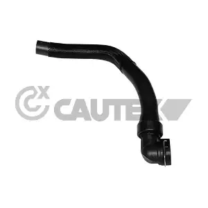 011319 CAUTEX
