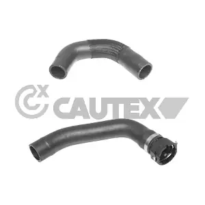 770174 CAUTEX