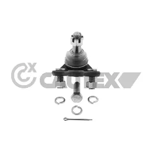 774155 CAUTEX