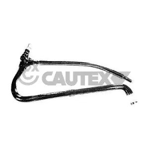 036003 CAUTEX