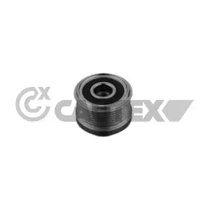 771955 CAUTEX