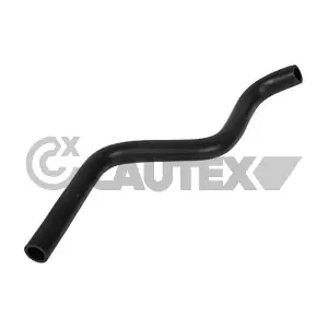 026822 CAUTEX