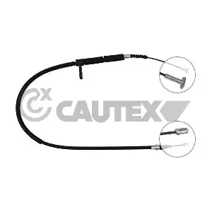 019032 CAUTEX