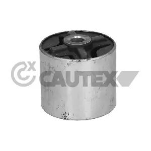 CAUTEX 061012
