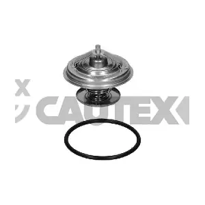 CAUTEX 770211