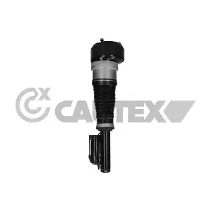 751962 CAUTEX