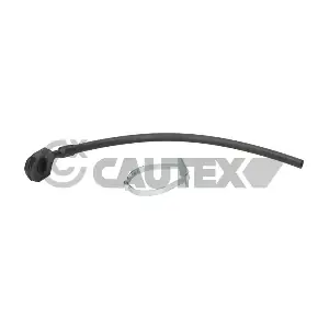 036241 CAUTEX