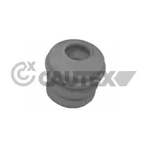 480105 CAUTEX