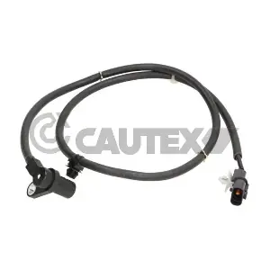 755307 CAUTEX