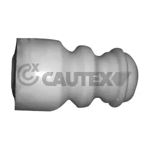 462449 CAUTEX