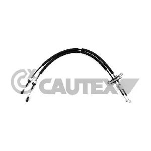 772600 CAUTEX