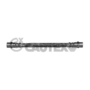 481091 CAUTEX