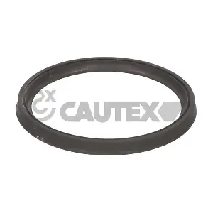 777589 CAUTEX