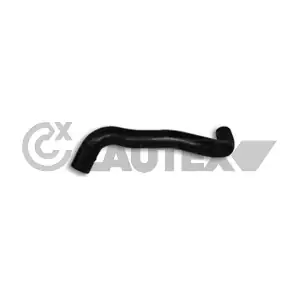 706003 CAUTEX