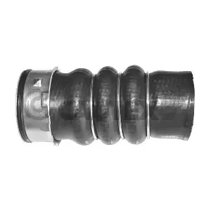 753225 CAUTEX