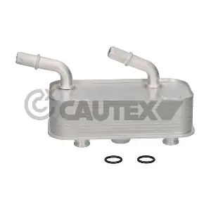 201584 CAUTEX