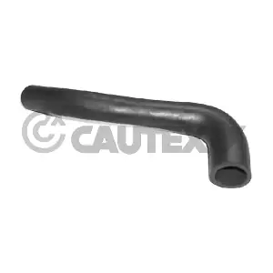 036074 CAUTEX