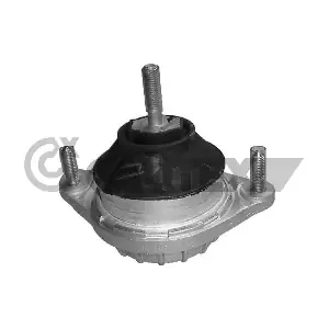 460156 CAUTEX