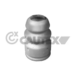 756990 CAUTEX