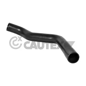 036720 CAUTEX