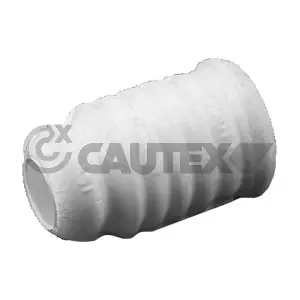 CAUTEX 031724