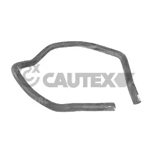 031305 CAUTEX
