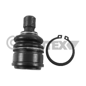 755064 CAUTEX