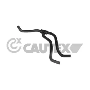 771104 CAUTEX