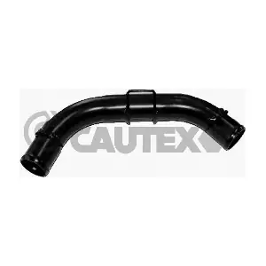 955338 CAUTEX