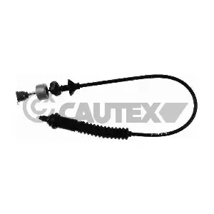 038452 CAUTEX
