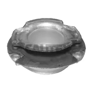 180019 CAUTEX