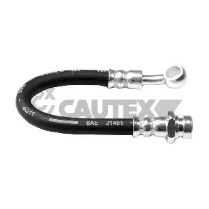 755784 CAUTEX