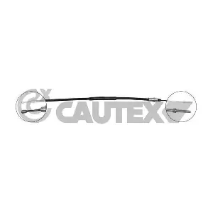 038509 CAUTEX