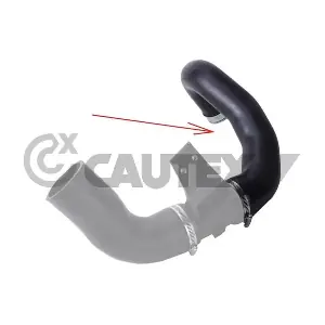 186730 CAUTEX